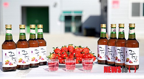 해남 자색고구마 원료로 만든 붉은색 소주 출시