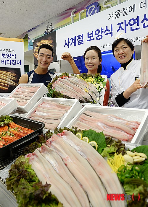 자연산 바다장어 나왔습니다