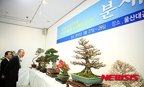 울산분재협회 전시회