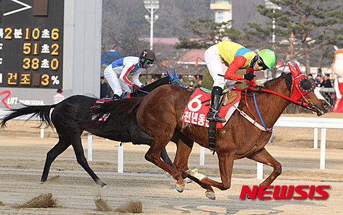 서울 국산마 최강 천년동안 경기도지사배 우승