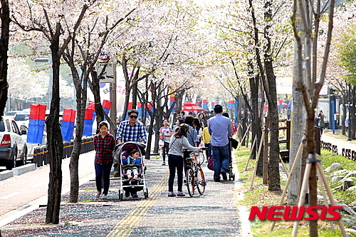 ‘2015 대청골 왕벚꽃 축제’개최