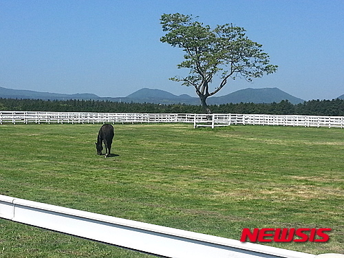 경주마 육성의 산실 렛츠런팜 제주