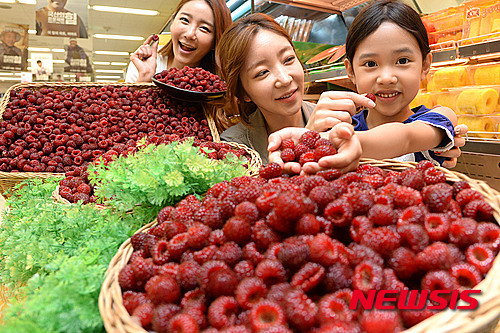 싱싱한 산딸기 맛보세요