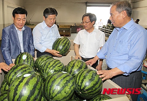 생거진천 꿀수박 홍콩 첫 수출