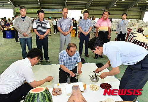 평창 대관령원예농협 공판장 7월 1일 초매식