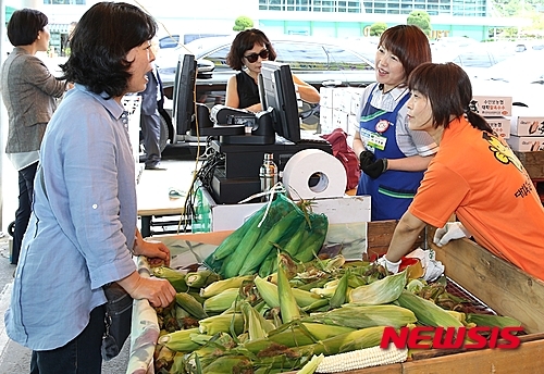 수안보·살미 찰옥수수 맛있어요
