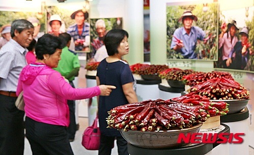 품질 엄선된 괴산청결고추