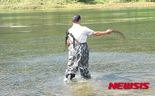 충주 남한강에 다슬기 치패 100만 마리 방류
