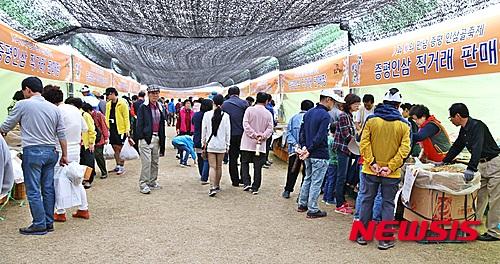 증평인삼골축제 인삼·홍삼포크 판매장 북적