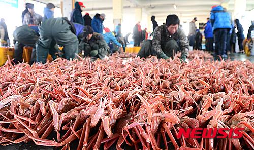 제철 맞은 대게가 풍년이요