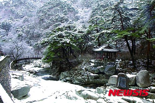 [설 연휴 힐링 여행]경남 합천 해인사