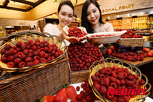 첫 출하된 햇 산딸기 맛보세요