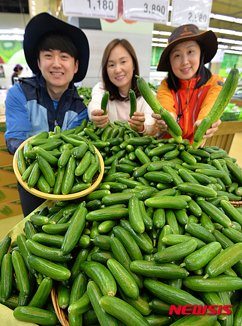 산에서는 미니 오이