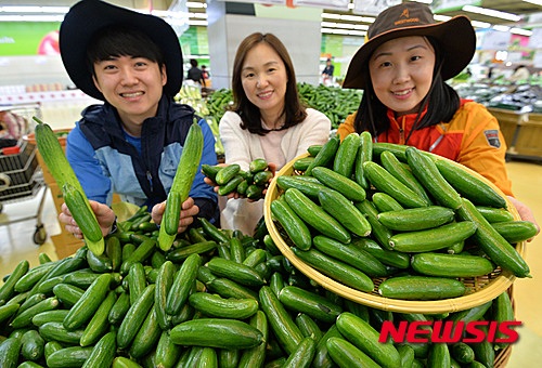 등산 필수품, 미니오이 출시