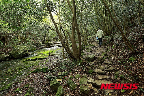 여기가 힐링의 숲…관광공사 6월 가볼 만한 곳