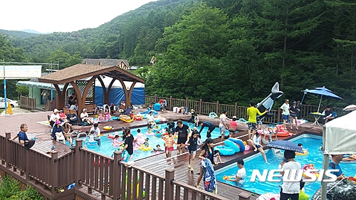 보은 충북알프스자연휴양림 여름 손님맞이 한창