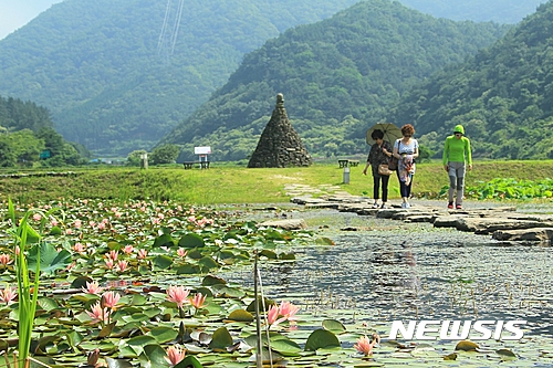 경남 고성 상리연꽃공원…수련·홍련·백련 방긋