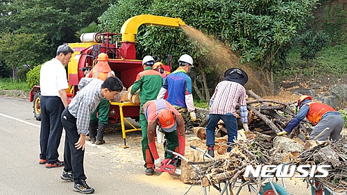 사천시, 7월 한달간 도로변 고사목 1100여 그루 제거