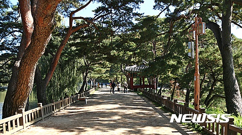 언제나 푸르른 제림