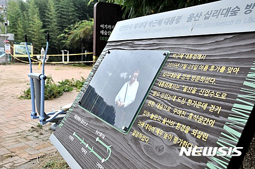 발길 뜸한 울산 십리대숲