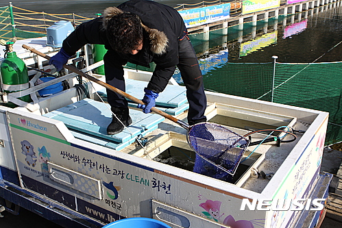 산천어축제 물고기 방류 시작