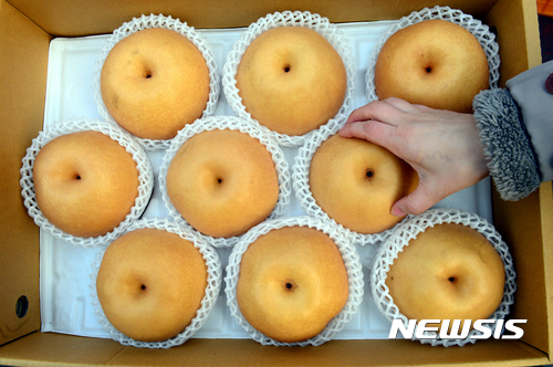 과일이 참 좋네