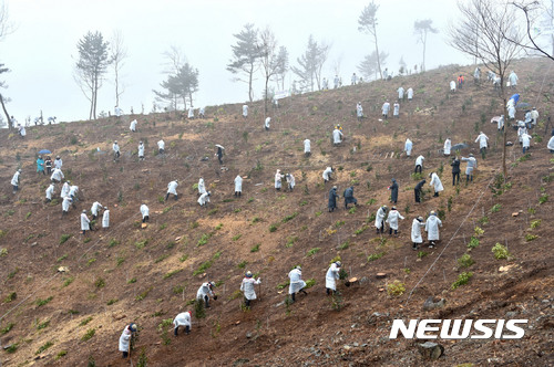 산림청 거제서 올해 첫 나무심기