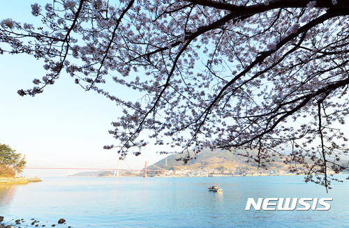 남해군은 푸른바다와 어울러진 봄꽃의 향연