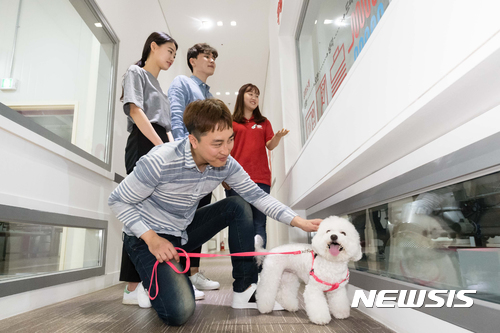 반려견과 함께하는 해피댄스스튜디오