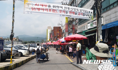 농림부, 살아있는 닭 제한적 유통 가능