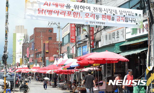 살아있는 닭 제한적 유통 가능, 한산한 모란시장