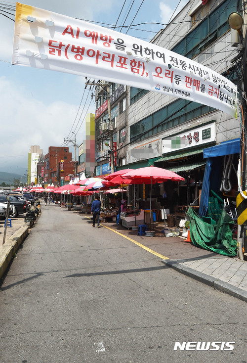 농림부, 살아있는 닭 제한적 유통 가능