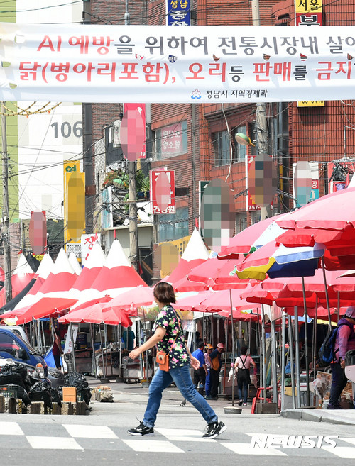 농림부, 살아있는 닭 제한적 유통 가능