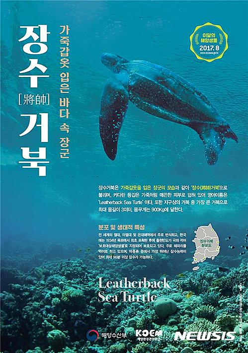 갑옷 입은 바닷속 우두머리 장수거북, 8월 해양생물 선정