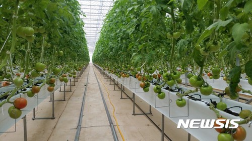 [창녕소식]농산물 전문생산단지 평가 최우수 2곳 선정 등