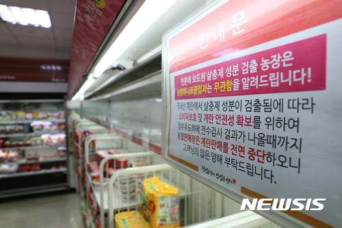 계란없는 계란 판매대