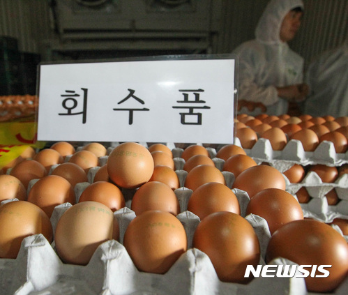 제주서 회수된 살충제 계란