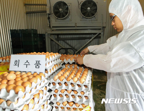 제주서 회수된 살충제 계란