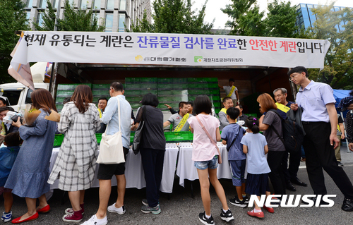 계란 이제는 안심하고 드세요