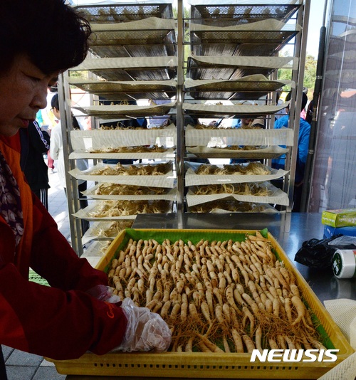 홍삼 만들어요 진안 홍삼축제 바쁜 손길