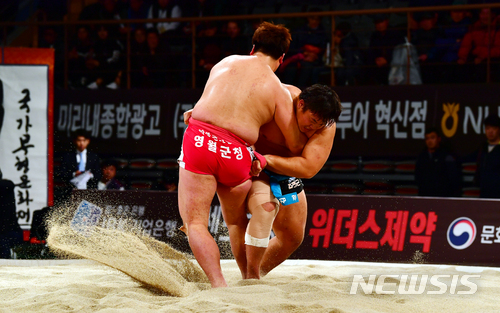 김진 넘어가라