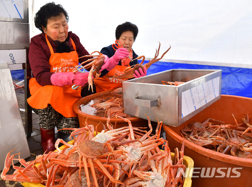 “대게 먹으로 삼척으로 가자”…삼척대게축제 개막