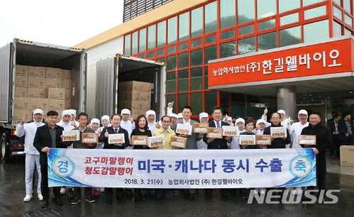 한길웰바이오 한국산 청도감·고구마 말랭이 미국·캐나다 등 북미지역에 총 30억원 수출 성사