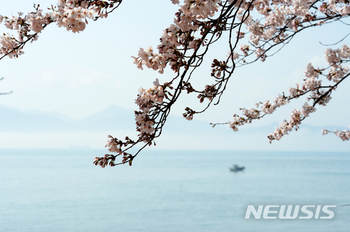 바다와 봄의 전령