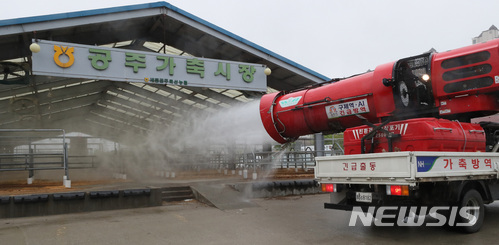 가축시장 방역 철저