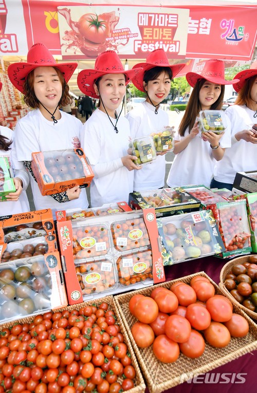메가마트 동래점, 토마토 페스티벌 개최