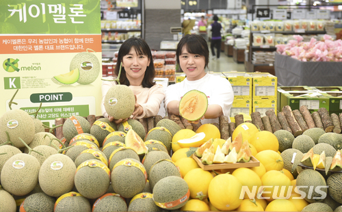 농협유통, 양구메론·노을메론·네트메론(하미과) 첫출하