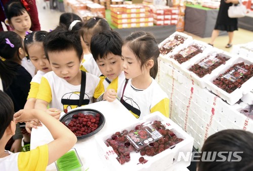 첫 출하된 산딸기 드세요