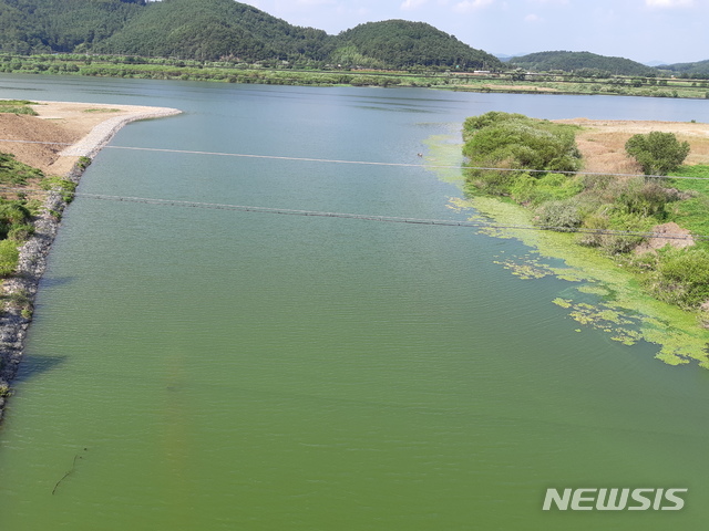 녹조 창궐한 낙동강 함안보 상류 지점