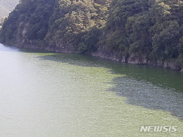 녹조 창궐한 낙동강 함안보 상류 지점